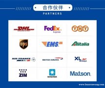 意大利-香港/内地 进口ups FedEx代理 快递 空运 