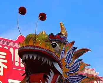 舞龙舞狮加中国美食，罗马2月21、22日迎来春节狂欢！