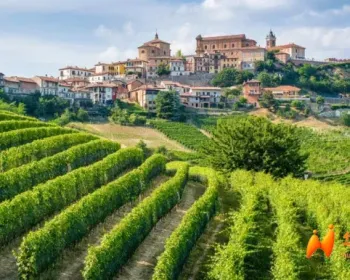 还得是意大利！2025欧洲最想去的国家又是它