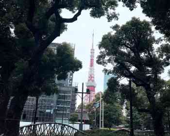 深入了解日本文化，不只是欣賞古蹟與美景