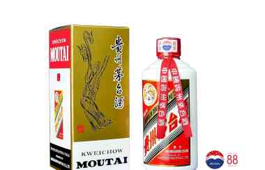 OTTO OTTO BAIJIU茅台「88白酒」意大利
