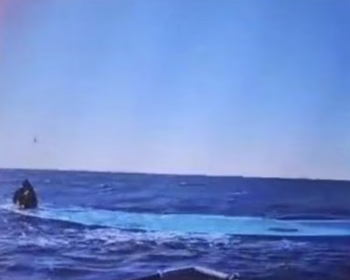 117人出海仅1人生还？地中海再传移民沉船噩耗