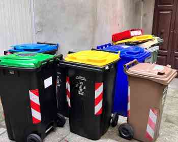 垃圾袋里一张机票，意大利男子被罚204欧元