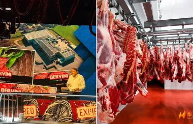 意大利180吨“过期肉换新鲜卖”？电视曝光震动全国！