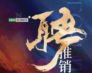 意大利新科电子3C批发公司 – 诚聘多名内部或外部推销员