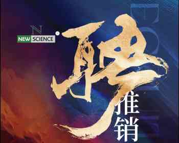 意大利新科电子3C批发公司 – 诚聘多名内部或外部推销员（需出