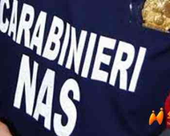 利沃诺华人餐厅被查，三文鱼无标签100公斤遭扣押