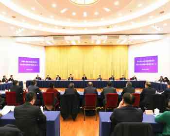 杭州市政协十二届五次会议 欧洲杭州华人华侨妇女会会长应秋琳出席