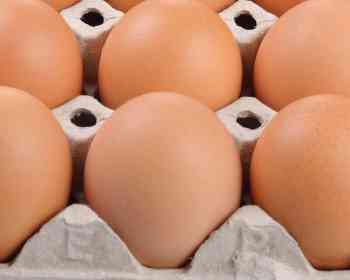 意大利紧急召回一批鸡蛋，疑似沙门氏菌污染