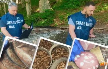 ⚠️震惊！意大利山中避难所查出20年前过期肉，700公斤食物被当场扣押！