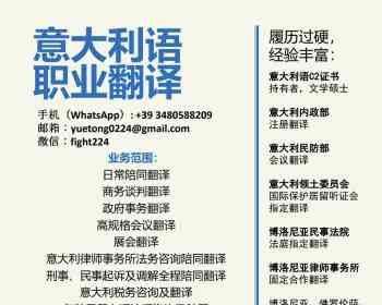 职业翻译，政府翻译，各种居留咨询