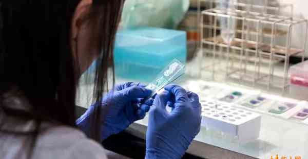 米兰San Siro爆发军团菌！11人感染1人身亡，社区紧急排查中