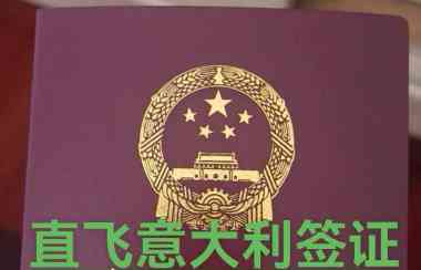 出国