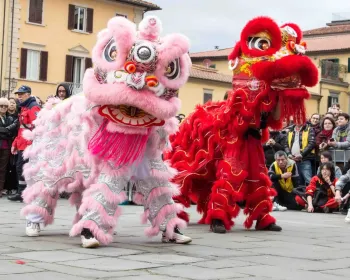 从敲钟到舞狮，普拉托马年春节全流程