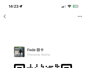 意大利语-英语课（TEFL Certified） / 中-意翻译（新HSK 5）