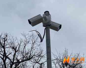 车牌识别+多传感监控齐上阵：普拉托加强治安力度