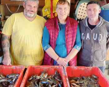 渔民最怕的蓝蟹，被他们卖到130欧元一公斤