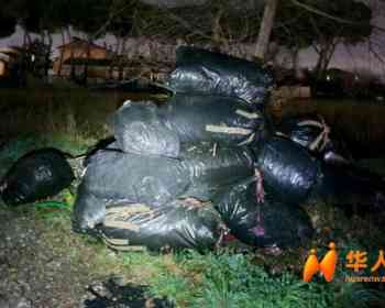 货车被查扣、驾照被收走！普拉托两华人夜间偷倒纺织垃圾被抓