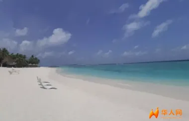 魂断“探险之旅”！5名意大利人在马尔代夫潜水遇难，细节曝光