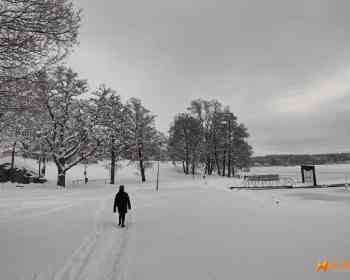 Dolomiti小男孩奥运公交风波后续：受邀参加冬奥会开幕式