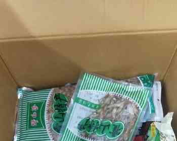 深圳集运转运意大利