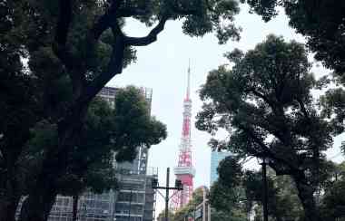 深入了解日本文化，不只是欣賞古蹟與美景