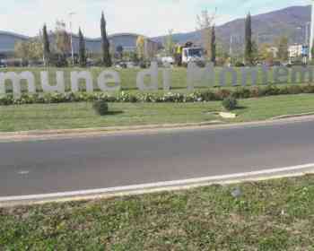 普拉托警方招中文翻译，3月17日截止报名