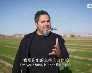 中央广播电视总台系列专题片《幸会师父》（Kung Fu Wise）第二季