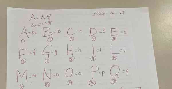 本人教胡春美，曾经在一家中文学校做过多年意大利文教师，想多挣点钱，所以