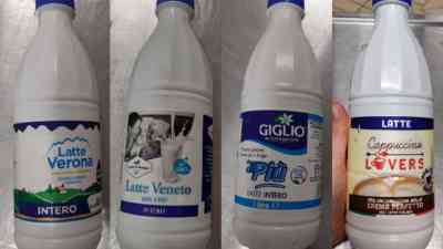 Copia di Copia di Progetto senza titolo - 2025-04-30T122444.797.jpg