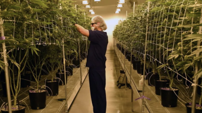 截屏2025-05-01 15.24.29.png