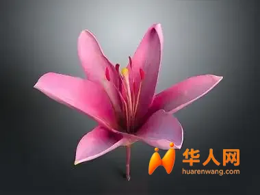 罗马4.jpg