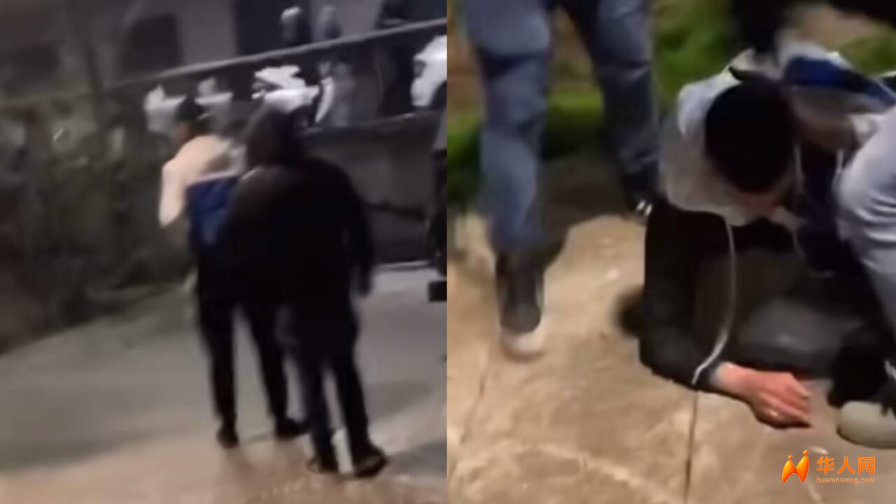 pestato articolo 52 video.jpg