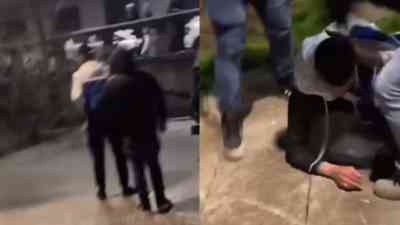 pestato articolo 52 video.jpg