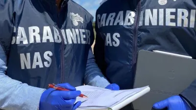 i-carabinieri-dei-nas-foto-di-repertorio.webp