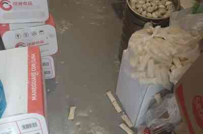 Ristorante Cinese sigilli Senigallia 2.jpeg