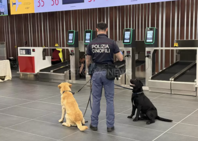 截屏2025-08-13 18.10.39.png