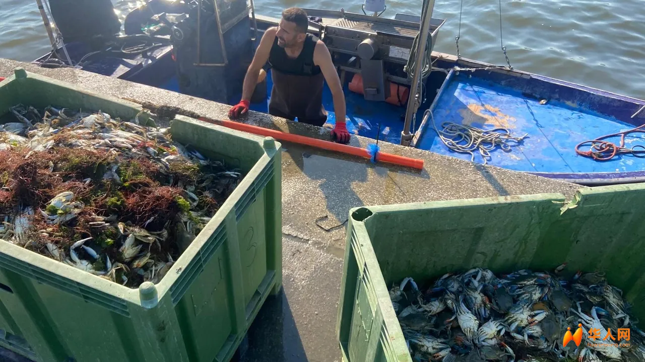 il-consorzio-pescatori-di-goro-si-trova-in-olanda-per-valutare-lacquisto-di-macc.webp