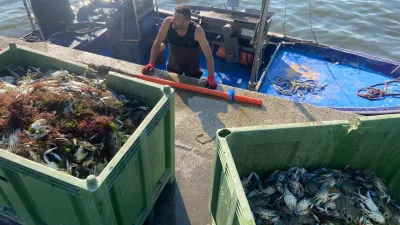 il-consorzio-pescatori-di-goro-si-trova-in-olanda-per-valutare-lacquisto-di-macc.webp
