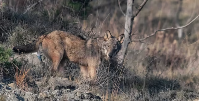 截屏2025-09-09 23.15.16.png