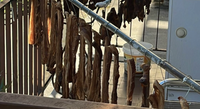 截屏2025-11-21 23.12.58.png