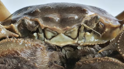 截屏2025-12-05 01.37.22.png