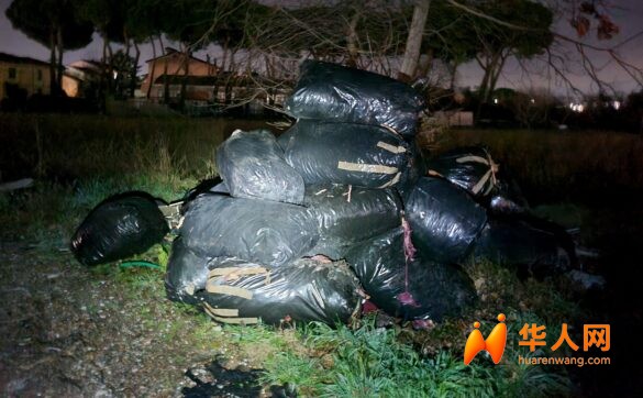 货车被查扣、驾照被收走！普拉托两华人夜间偷倒纺织垃圾被抓 …