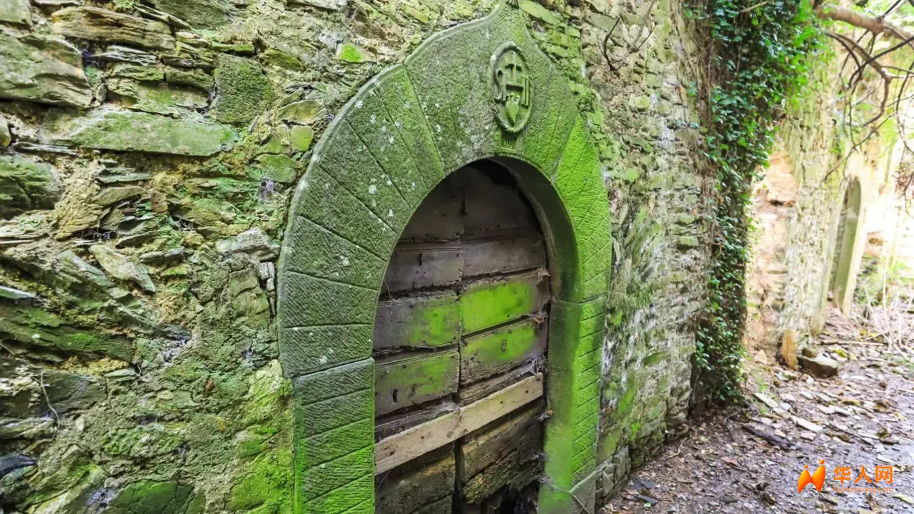 托斯卡纳有一座鬼城……那里只有猫居住