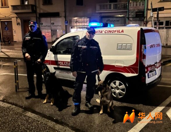 车子没保险不要上路，普拉托最近严查！