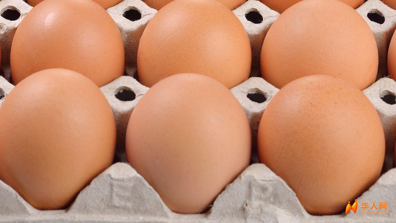 意大利紧急召回一批鸡蛋，疑似沙门氏菌污染