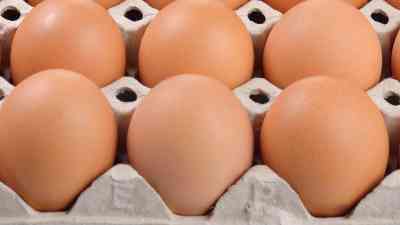 Progetto senza titolo - 2026-02-09T130326.340.jpg