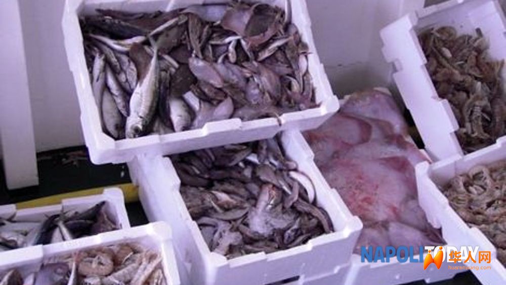 pesce_original-2.jpg