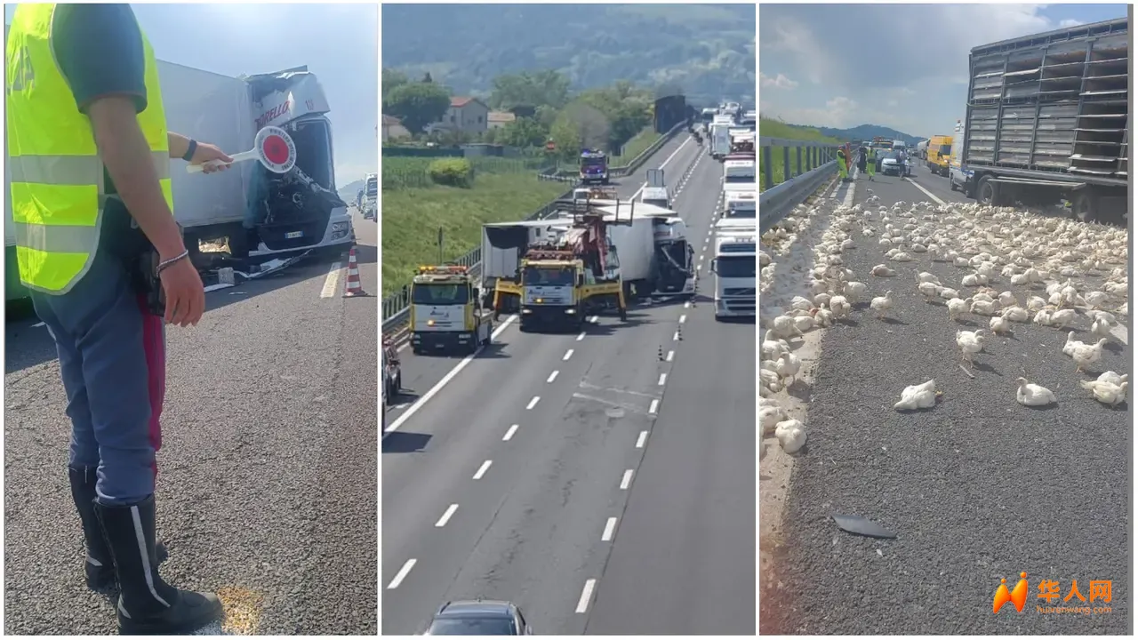 A14高速货车侧翻活鸡“满地跑”，交通大瘫痪数小时！