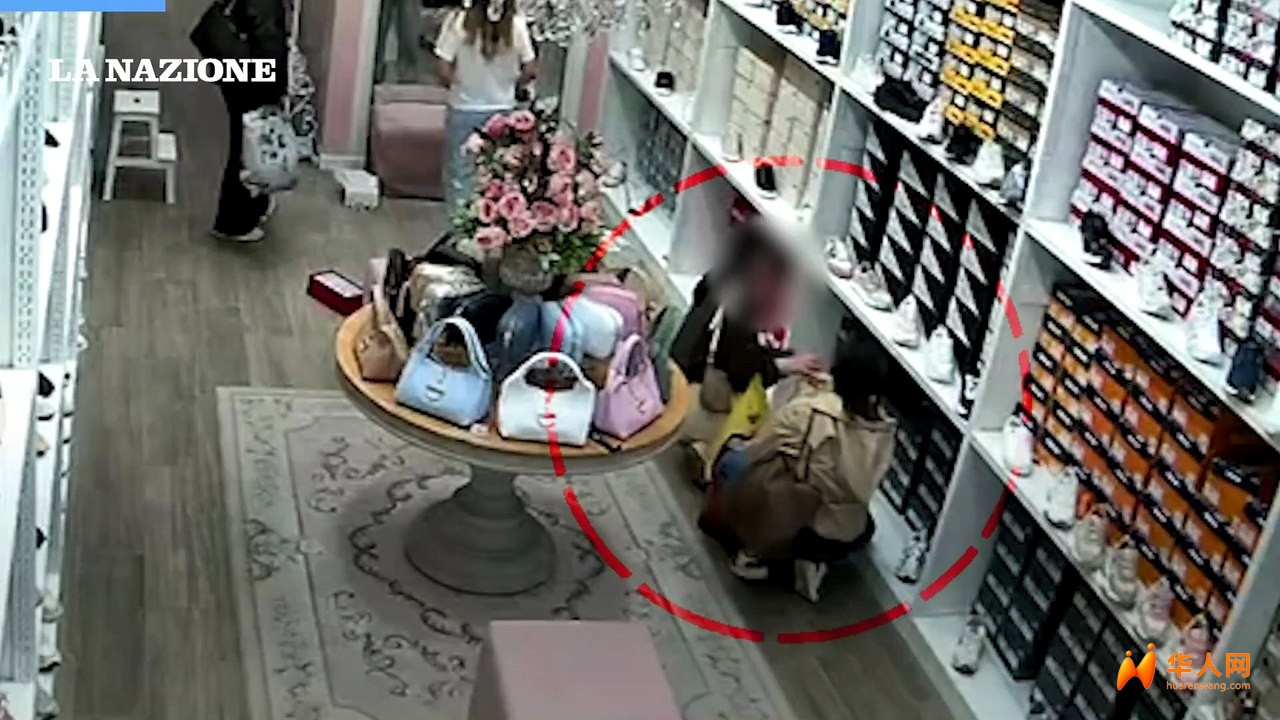 新店开业仅13天遭“两连抢”！普拉托百年老店心寒发声：这不是我们认识的普拉托
